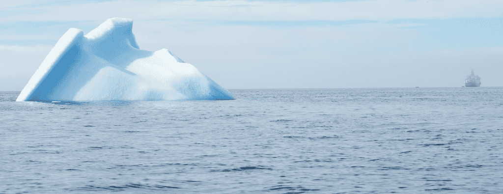 Klimaschutz Kühne Stiftung