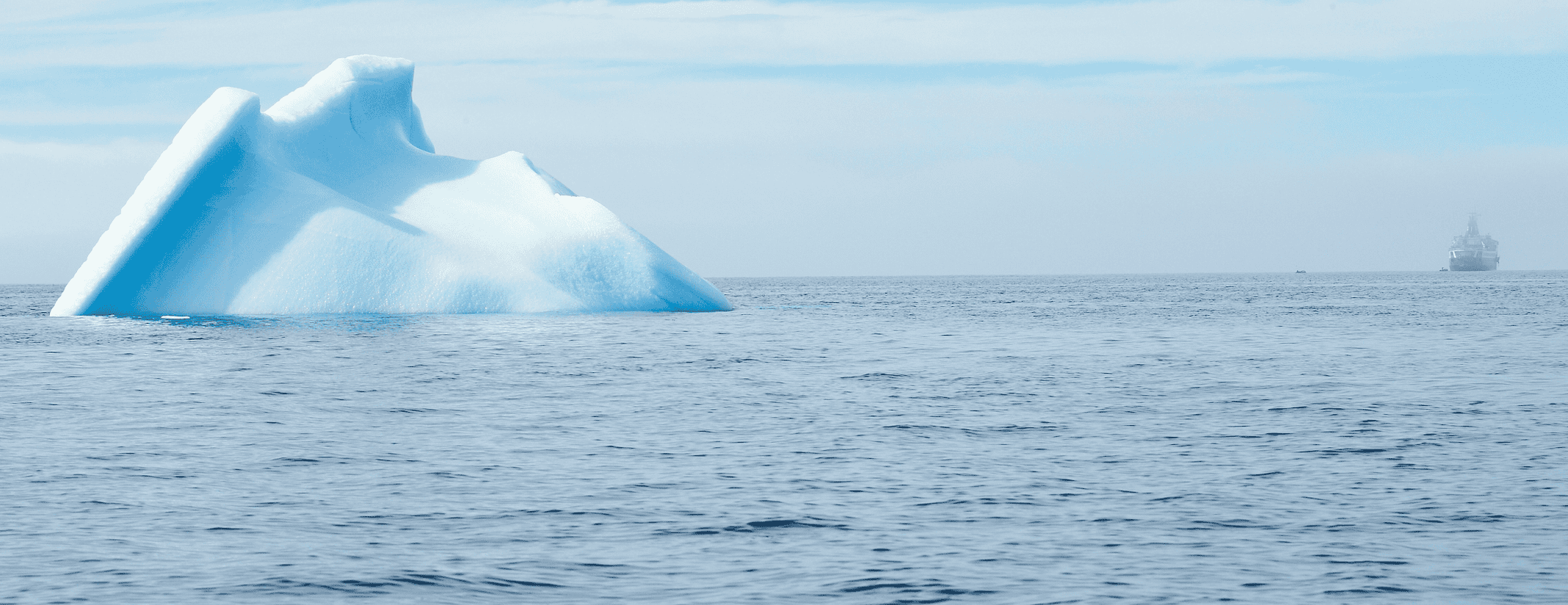 Klimaschutz Kühne Stiftung